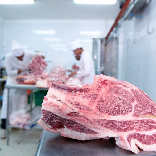 1000_F_395756595_oQTZ7aa4Bp240IIlfkAOFJf2xT3XqoNV